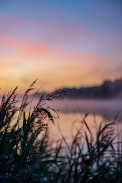 istock colorful misty sunset on the river in summer 1091432730