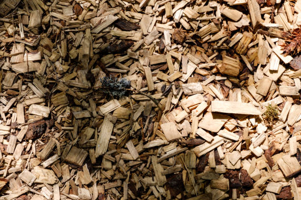 istock tourist trail covered with chipped dry wood 1091436158