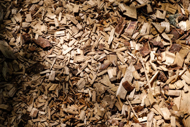 istock tourist trail covered with chipped dry wood 1091436166