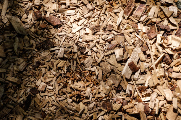 istock tourist trail covered with chipped dry wood 1091436176