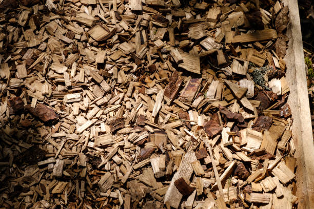 istock tourist trail covered with chipped dry wood 1091436218