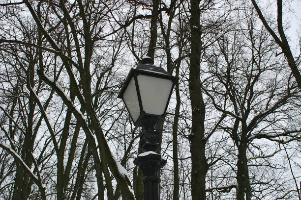 istock Lamp in winter park 1091441862