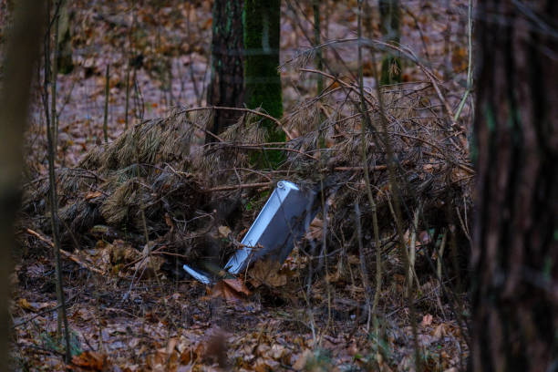 istock illegal dumpster in wet damp forest in autumn 1091442060
