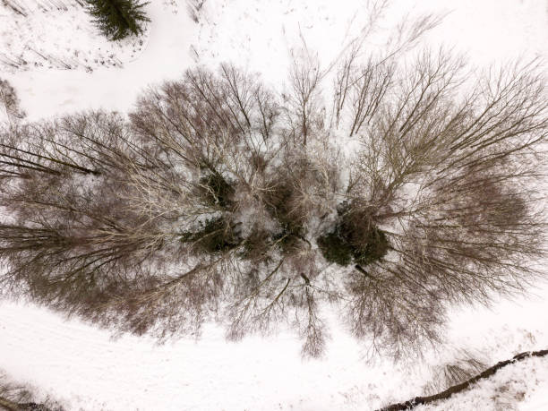 istock country small river in winter and bushes from above 1091444330
