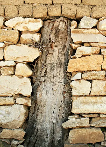Picture of an old tree that is surrounded by stone wall