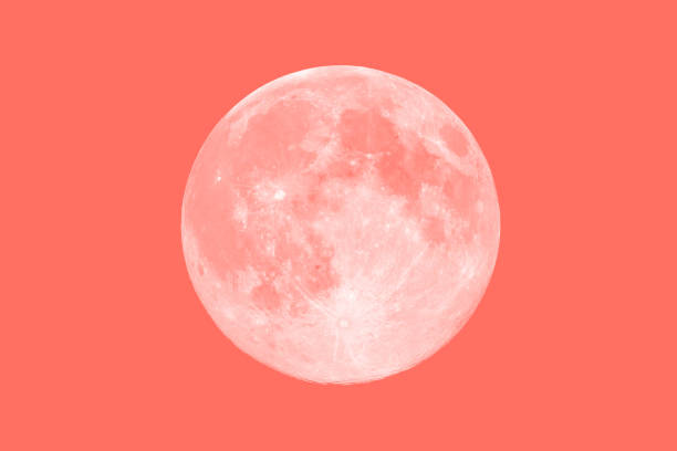 Living Coral Pantone color of the year 2019 toned full moon stock photo