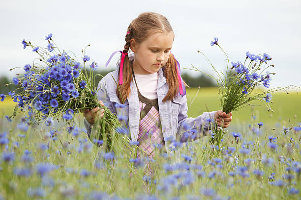 istock Little girl picking flowers 109145119