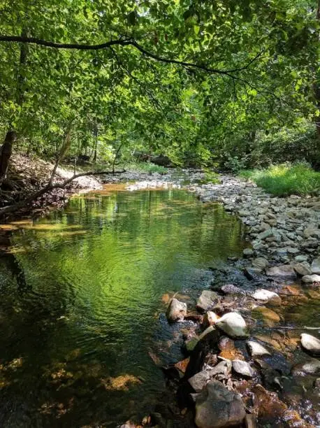 Photo of Creek Swimming Hole in Summertime