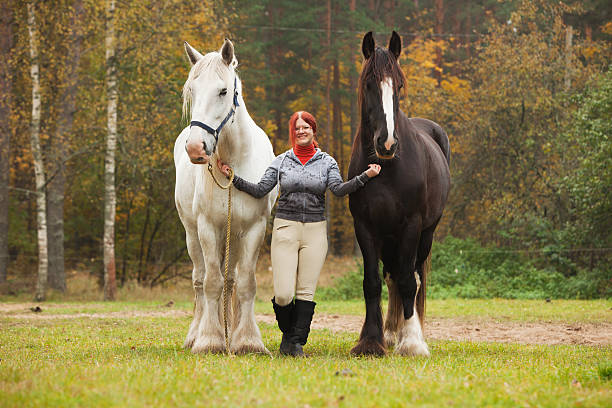 istock Woman with two shire horses 109145404