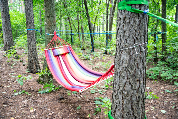 istock Hammocks and ropes are stretched out in the forest for rest and activities 1091462080