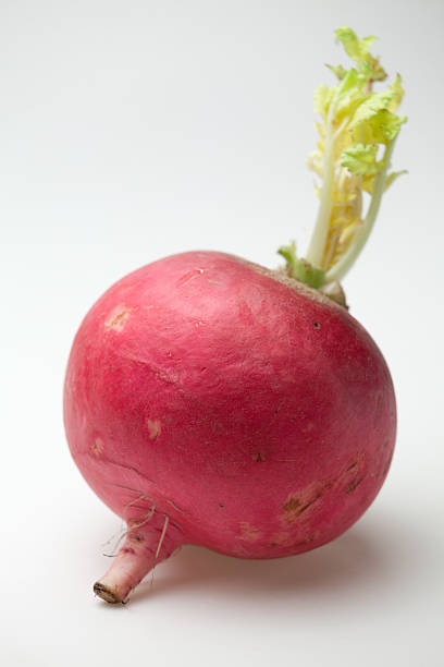 istock One ripe red radish root  with green sprout white background 109146332
