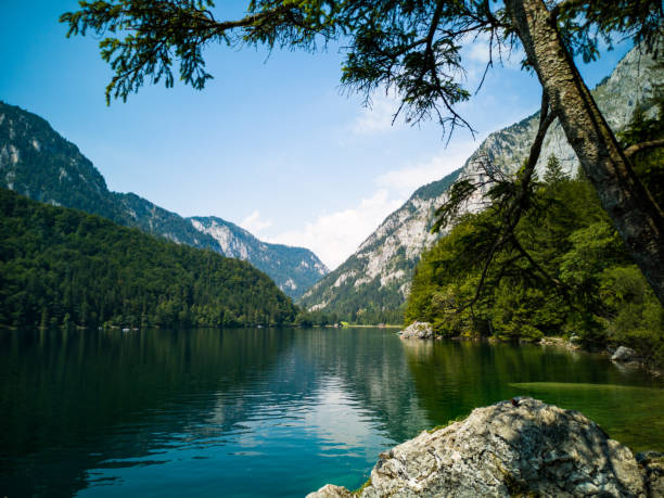 istock Beautiful mountain panorama with tree and rock in a lake 1091467390