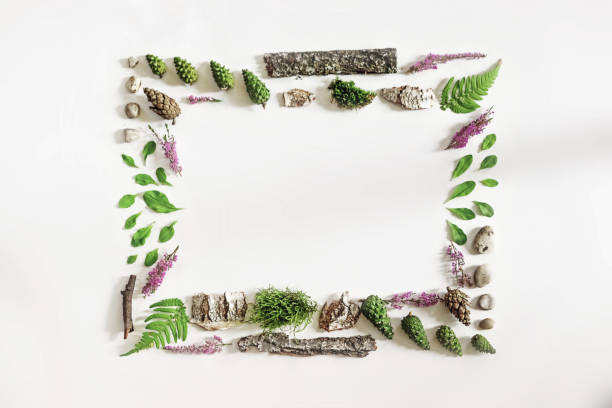 istock Square frame, Creative layout, natural layout of leaves, stones and wood. Empty for an advertising card or invitation. The concept of nature. Summer poster. Flat lay. Nature background 1091469338