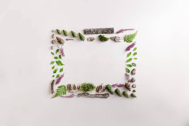 istock Square frame, Creative layout, natural layout of leaves, stones and wood. Empty for an advertising card or invitation. The concept of nature. Summer poster. Flat lay. Nature background 1091469374