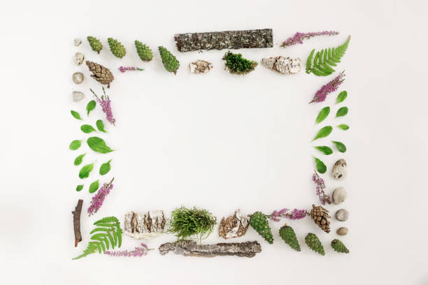 istock Square frame, Creative layout, natural layout of leaves, stones and wood. Empty for an advertising card or invitation. The concept of nature. Summer poster. Flat lay. Nature background 1091469384