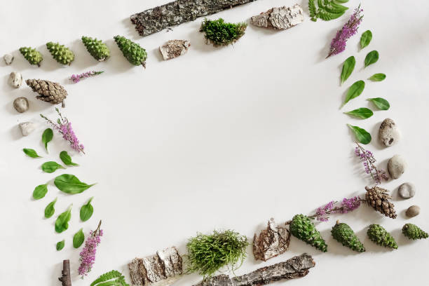 istock Square frame, Creative layout, natural layout of leaves, stones and wood. Empty for an advertising card or invitation. The concept of nature. Summer poster. Flat lay. Nature background 1091469396