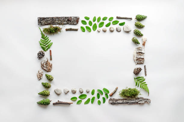 Square frame, Creative layout, natural layout of leaves, stones and wood. Empty for an advertising card or invitation. The concept of nature. Summer poster. Flat lay. Nature background