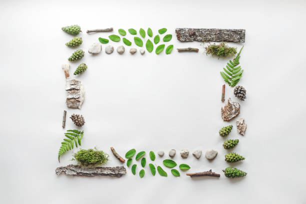 istock Square frame, Creative layout, natural layout of leaves, stones and wood. Empty for an advertising card or invitation. The concept of nature. Summer poster. Flat lay. Nature background 1091469408