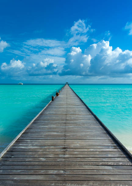 istock tropical Maldives island with white sandy beach and sea 1091469828