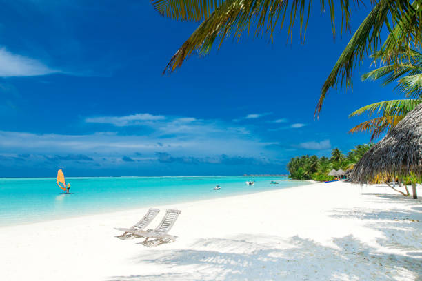 istock tropical Maldives island with white sandy beach and sea 1091469846