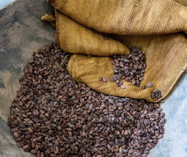 cacao beans - sack burlap bag roasted imagens e fotografias de stock