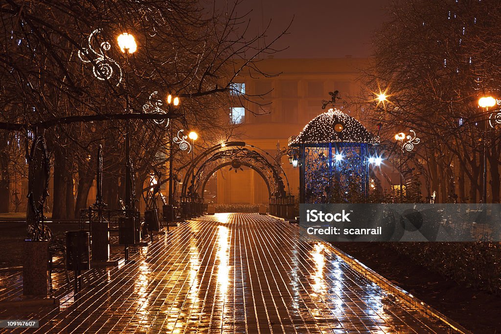 Noche decoradas alley en el parque de la ciudad - Foto de stock de Navidad libre de derechos