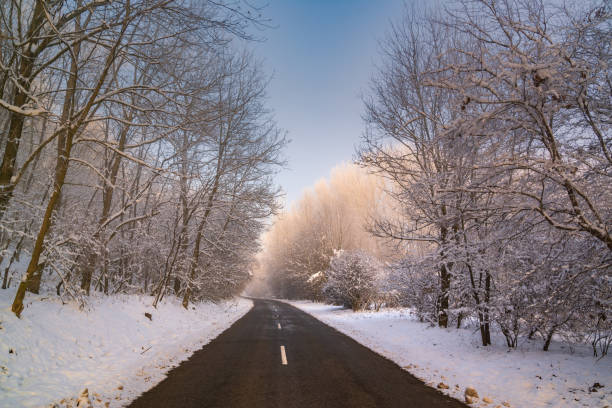 istock Road in snowy winter forest this is fairytale scene 1091477238