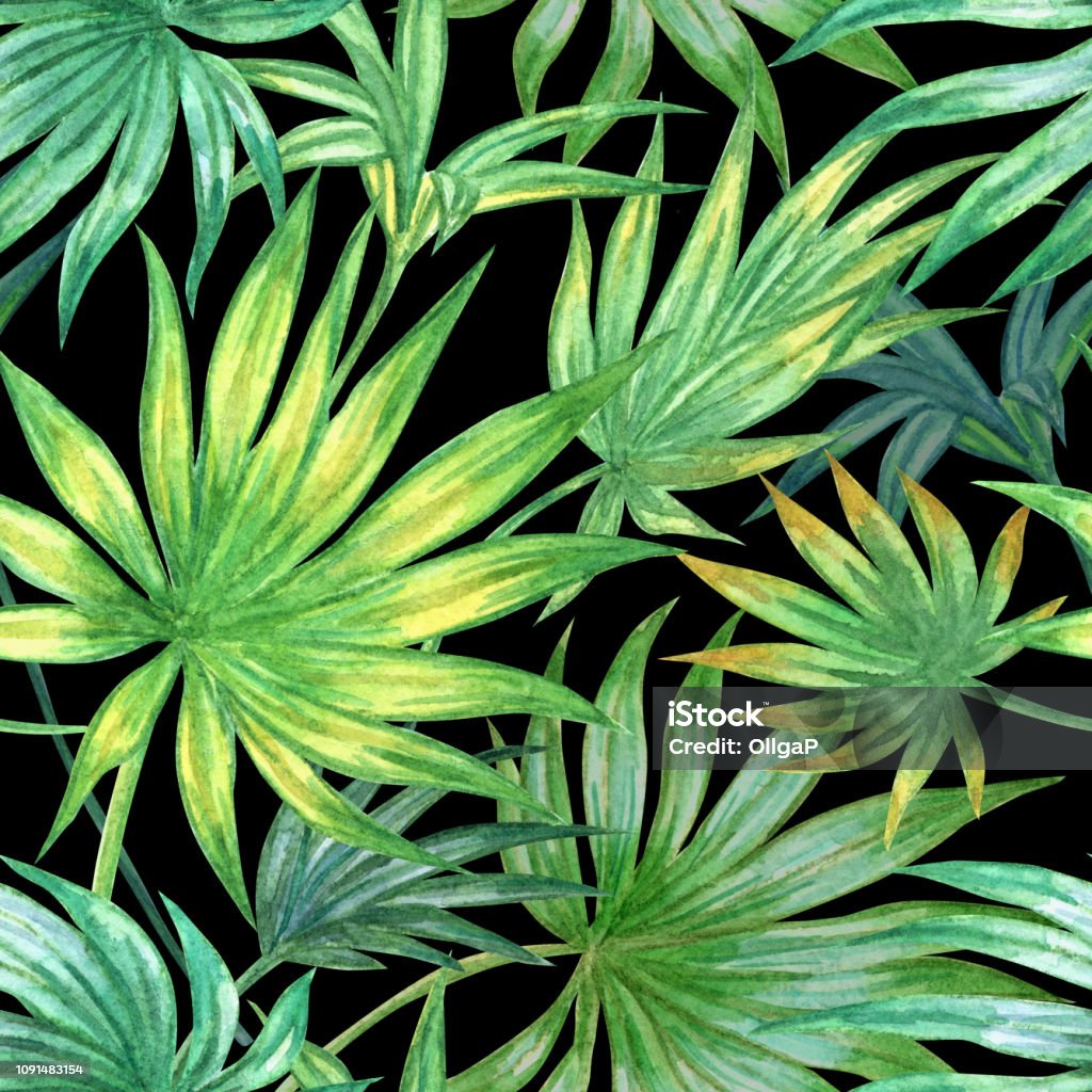 Palm Fan Pattern Pattern Of Fan Palm Leaves On A Black Background Stock Illustration ...