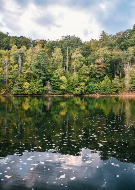 istock Lake in North Carolina 1091487590
