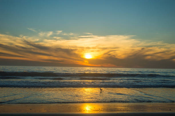 istock Moody sunset over Santa Monica beach 1091489736