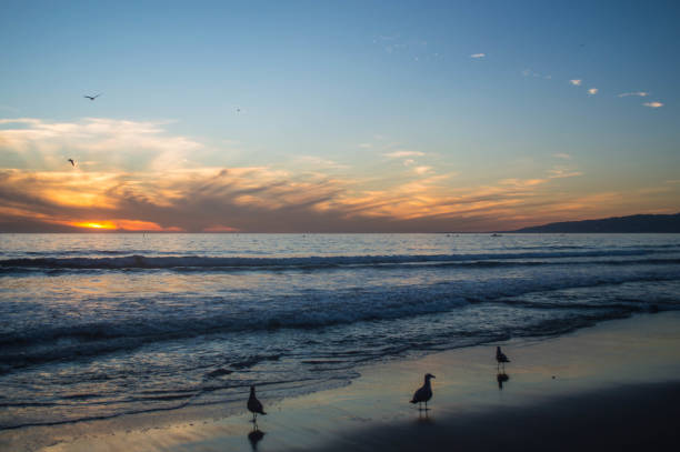istock Moody sunset over Santa Monica beach 1091489896