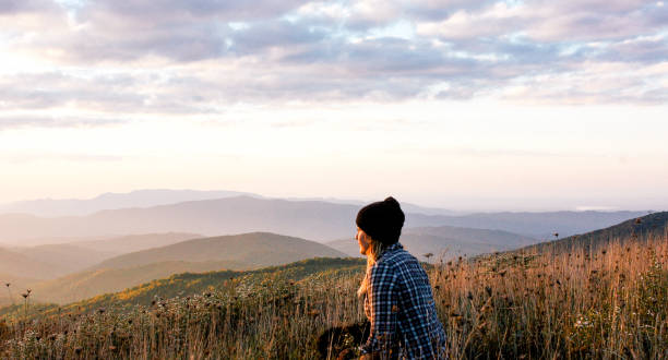 patch massima - great smoky mountains foto e immagini stock