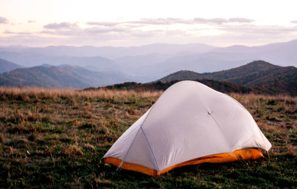 max パッチ - tennessee great smoky mountains great smoky mountains national park north carolina ストックフォトと画像