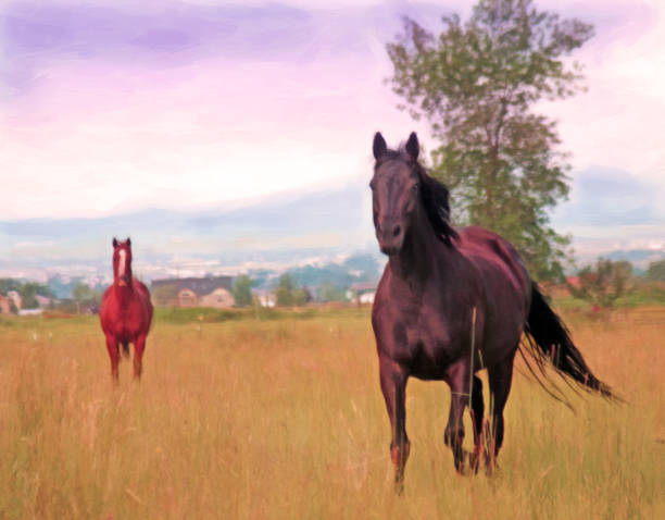 istock Horses in Montana Pasture 1091494640