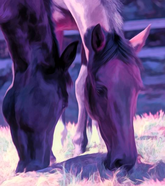 istock Horse Friends Sharing A Meal 1091494672