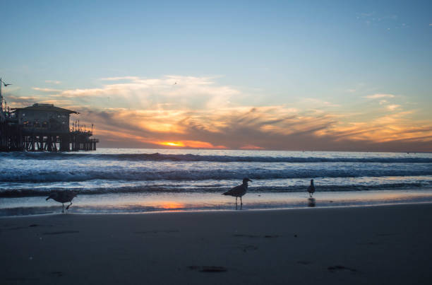 istock Moody sunset over Santa Monica beach 1091494706