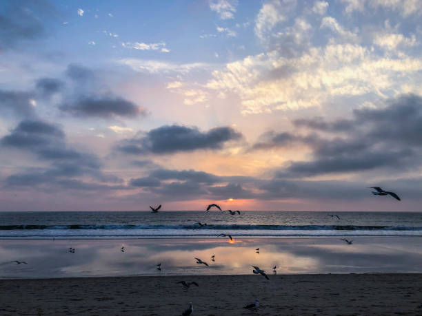 istock Sun sets over Venice Beach, CA with moody sky 1091498598
