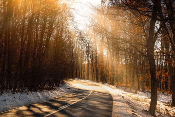 istock Asphalt road among trees in the winter 1091499534