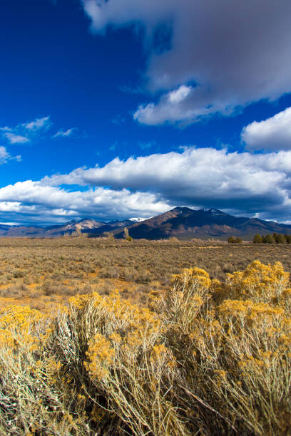 istock Taos, NM: Taos Prairie with Chamisa, Taos Mountains 1091500146