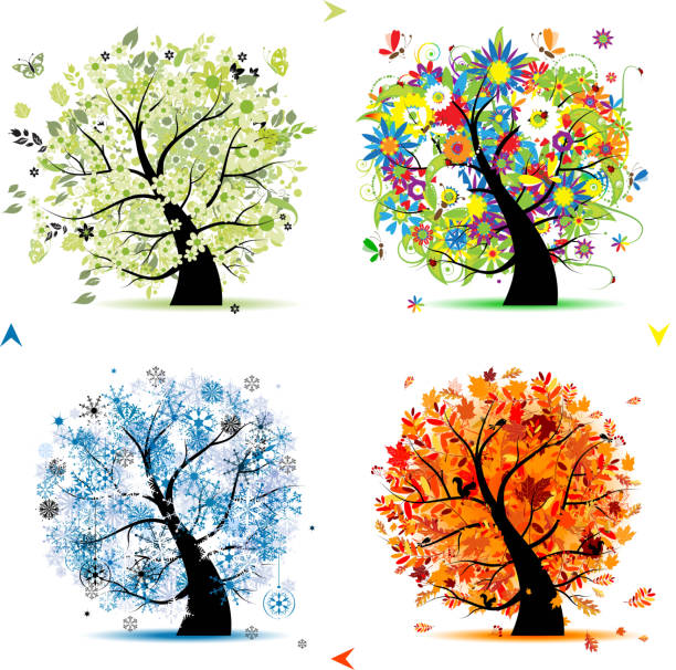 kolekcja sztuki drzew do projektowania, four seasons - bird cartoon blue illustration and painting stock illustrations