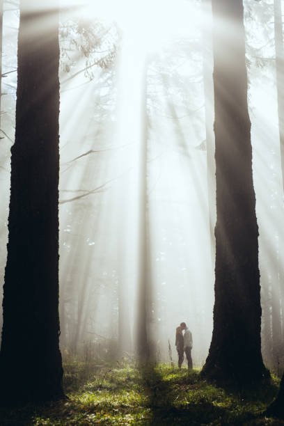 pareja caminando en bosque de niebla para la participación - foto de stock