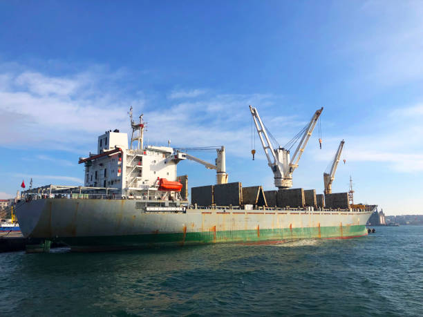istock Cargo Ship At Haydarpasa Port, Istanbul, Turkey 1091508132