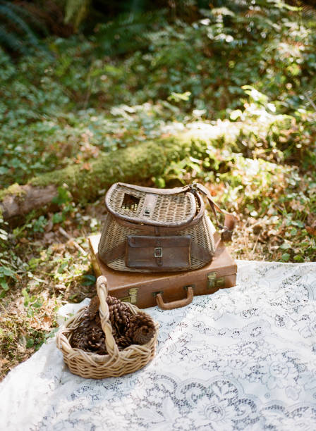 cesta de picnic vintage con piñas en bosque en manta - foto de stock
