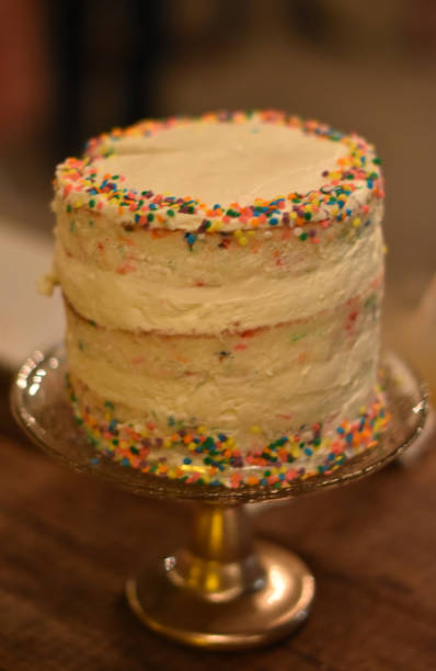 istock Informal Wedding Cake on a Platter 1091509600