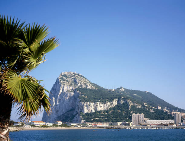 skała gibraltarska - gibraltar travel destinations uk concepcion zdjęcia i obrazy z banku zdjęć