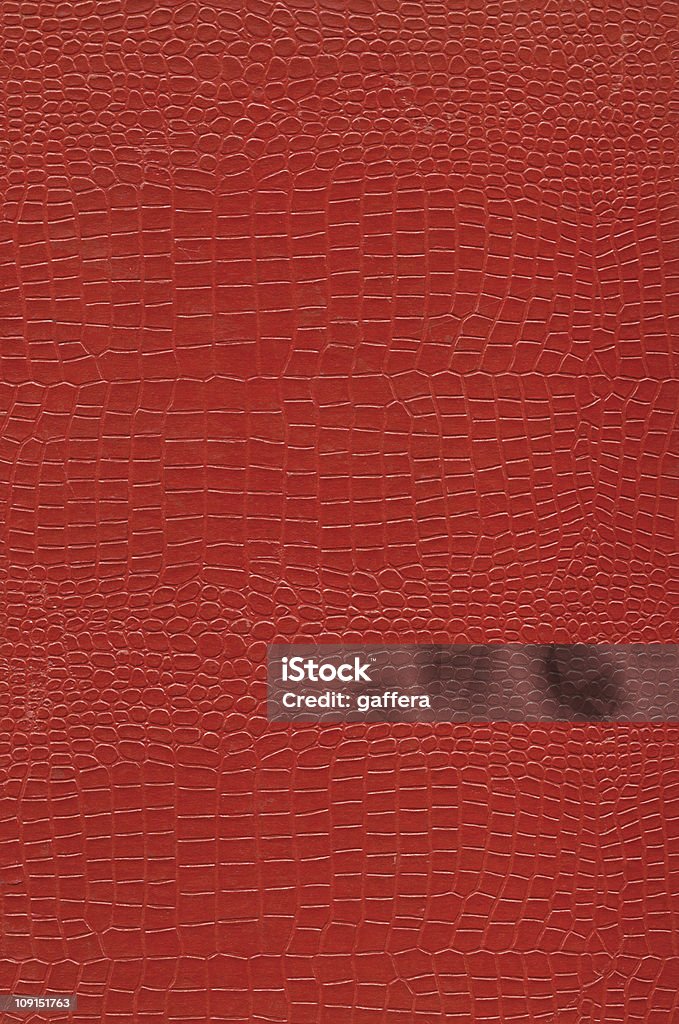 alligator skin red alligator skin Alligator Leather Stock Photo