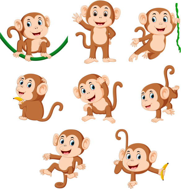 907 Jumping Monkey Illustrations & Clip Art - iStock | Flying squirrel,  Spider monkey, Chimpanzee