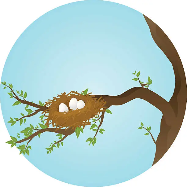Vector illustration of spring nest
