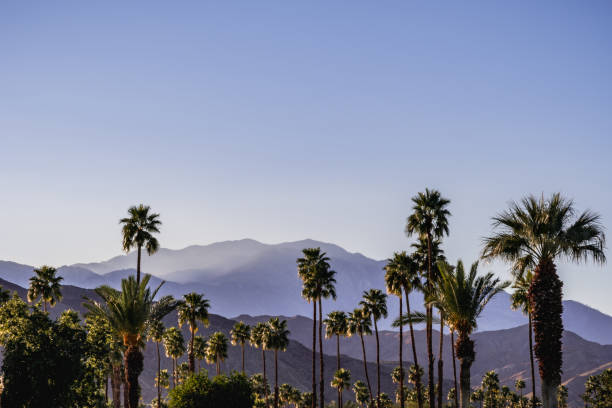 istock Palm Springs Scenic San Jacinto Mountain Landscape 1091523926