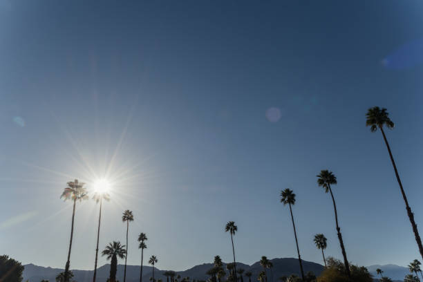 istock Palm Springs Scenic San Jacinto Mountain Landscape 1091529552